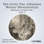 Het leven van Johannes Wouter Blommesteyn - deel 1