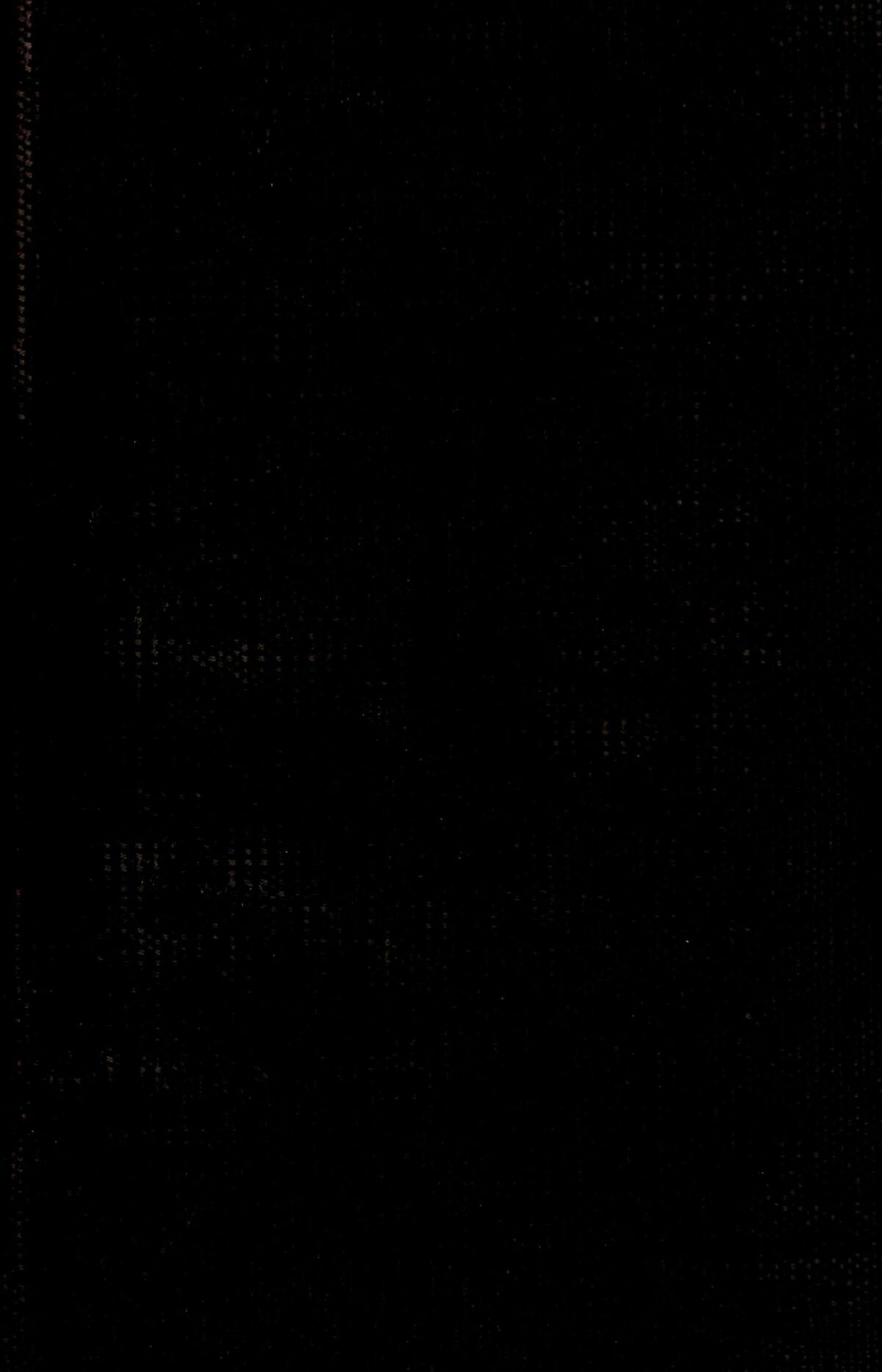 A Night in Acadie - Image 1